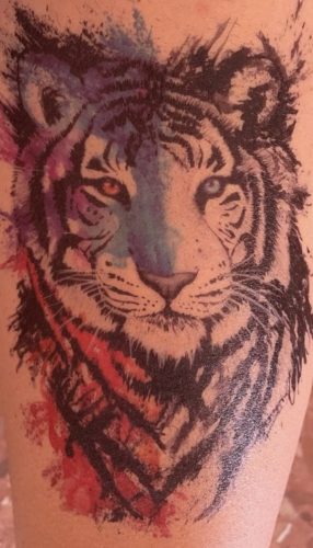 Tigre RedyBlue Max photo review