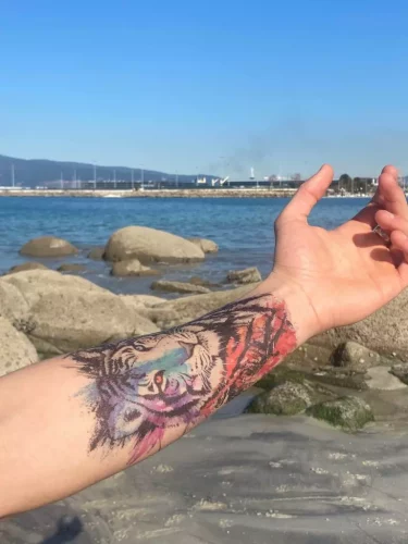 Tigre RedyBlue Max photo review