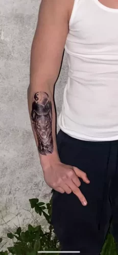 Wolfy Big Bang photo review