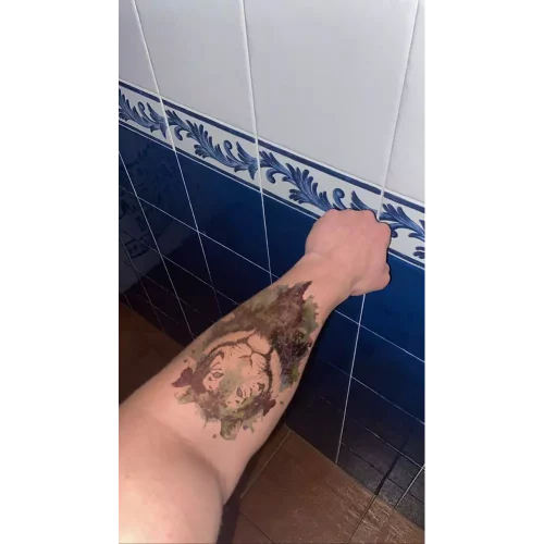 Tigre Mausavic photo review