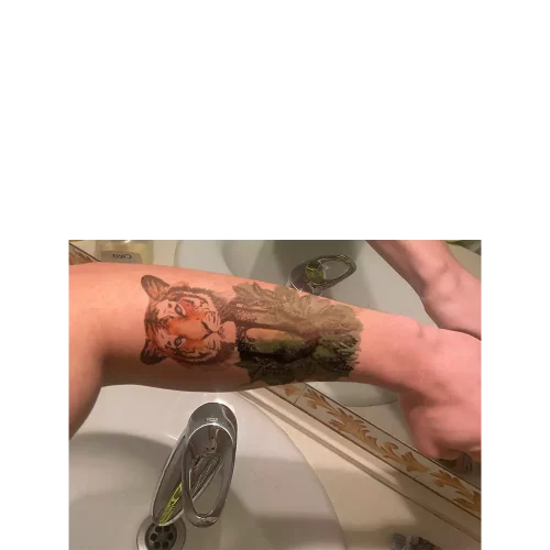 Tigre Tree Romance photo review