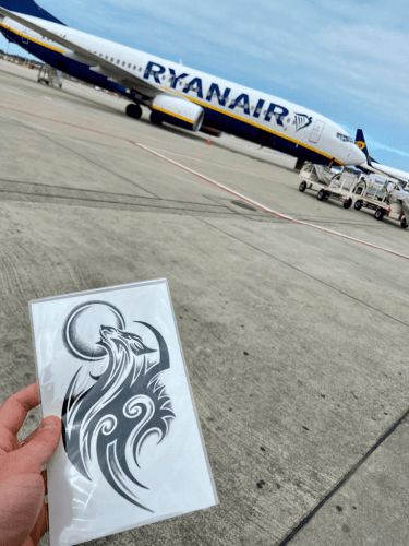 Rolling Bat photo review